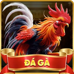 Hình ảnh hướng dẫn tải ứng dụng 68gb bet