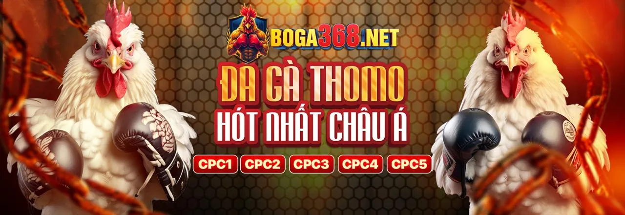Đá gà trực tuyến 68gb bet - Sân đấu kịch tính
